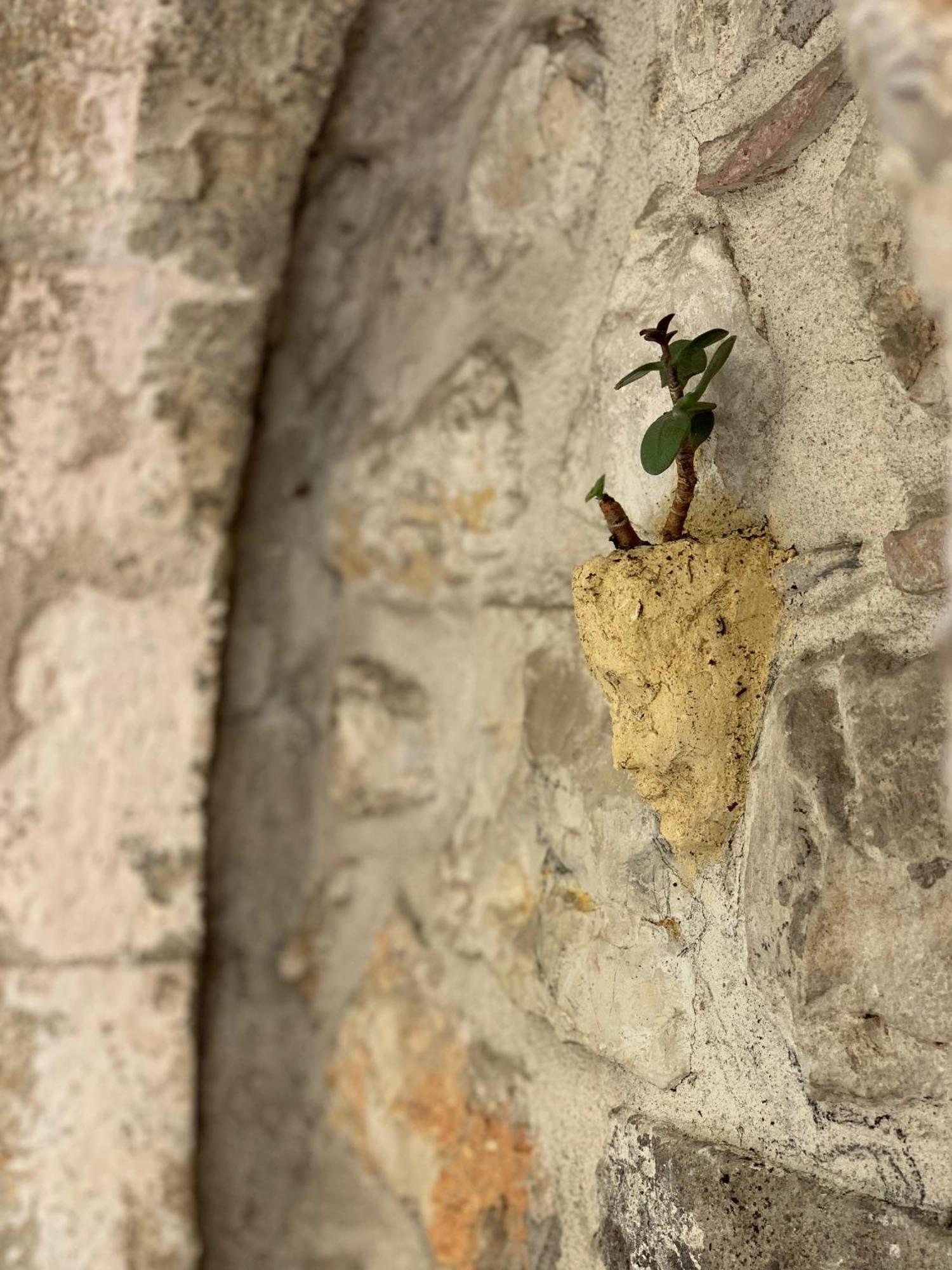 La Clé de la Porte B&B Antibes Exterior foto